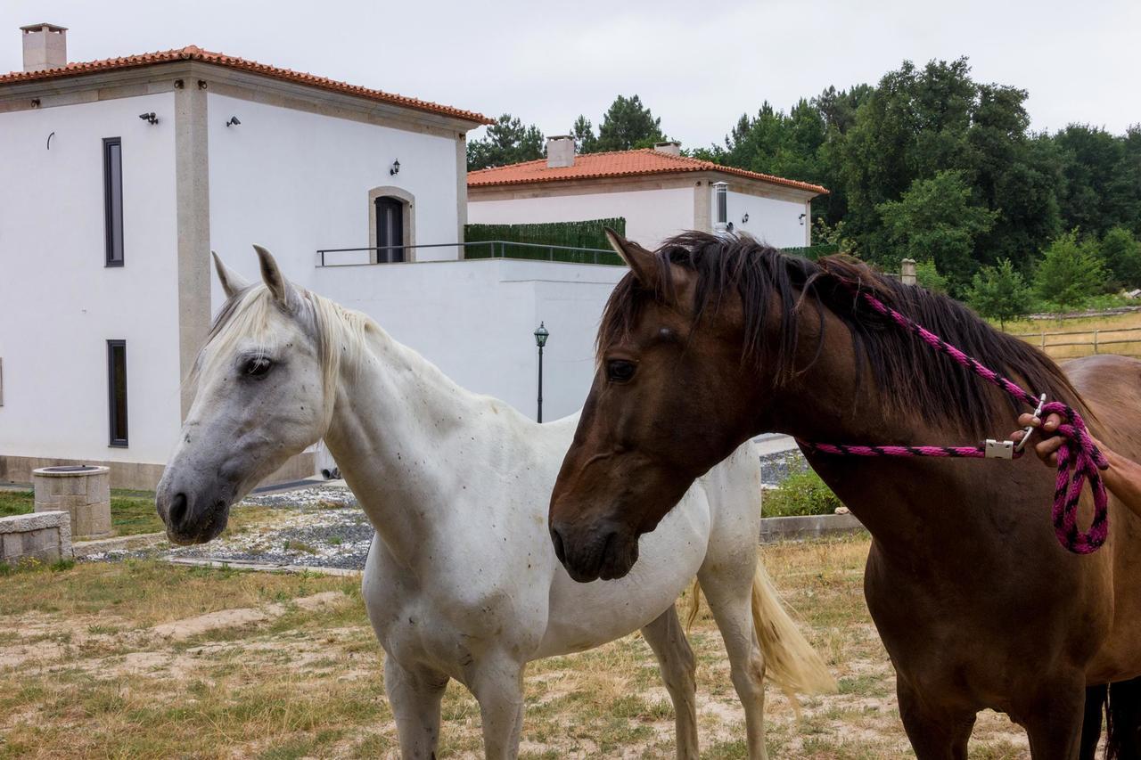Vilamoure Hotel De Naturaleza Punxin エクステリア 写真
